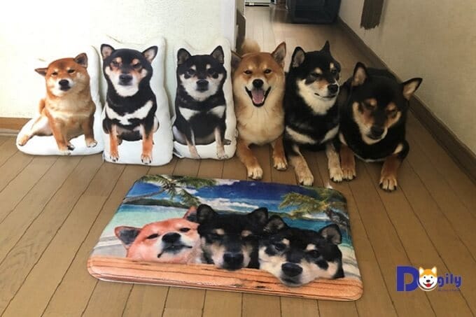 Gian hàng online của ba chú chó Shiba Inu Hinaosora bán các đồ như gối nhồi bông, đệm, túi xách có in hình dễ thương của những anh chàng này.