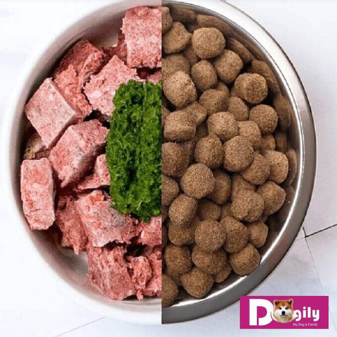 Protein có trong thị là thành phần không thể thiếu trong bữa ăn của loài chó