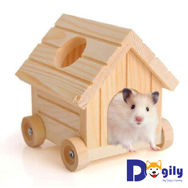 Giá nhà, đồ chơi và thức ăn dành cho Hamster