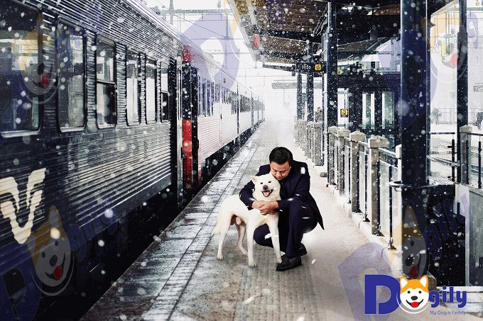 Hình ảnh tái hiện cảnh chú chó Hachiko đón giáo sư Ueno tại nhà ga Shibuya của Chomeocanh.com phiên bản... 2019.