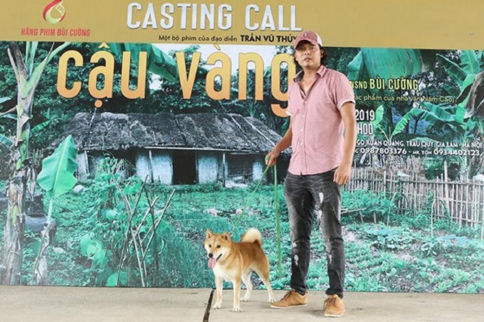  Chú chó Shiba Inu 2 tuổi tên Vàng đậu casting phim "Cậu Vàng" ĐPCC