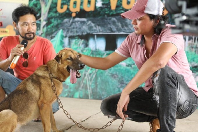 Đoàn làm phim cũng cho biết đã thử gửi 2 chú chó thuần Việt vào trung tâm huấn luyện trong 2 năm, nhưng đều không đạt được kết quả tốt để nhập vai “cậu Vàng”. Vì vậy, buổi casting đã được mở ra và chú chó Vàng đã đáp ứng được các tiêu chí. ĐPCC