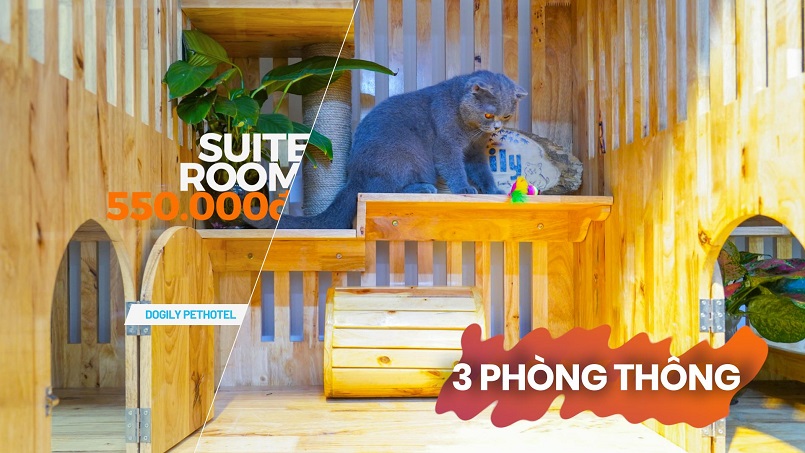 Viddeo Khách sạn chó mèo Chomeocanh.com Pets Hotel