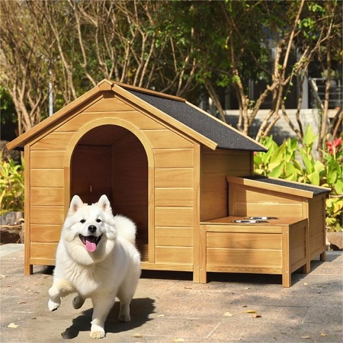 Chuồng chó gỗ tự nhiên cao cấp kèm khay ăn, có chó Samoyed đứng trước