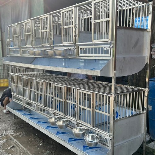 Chuồng chó inox 2 tầng chia nhiều ngăn, có máng ăn và khay lót, phù hợp trại nuôi