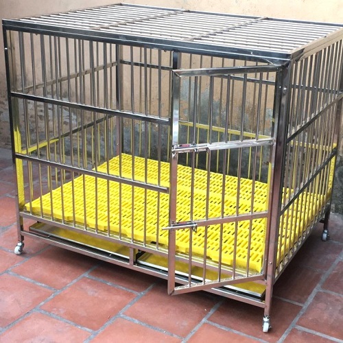 Chuồng chó inox kích thước lớn, sàn nhựa vàng, phù hợp cho chó từ 25kg trở lên