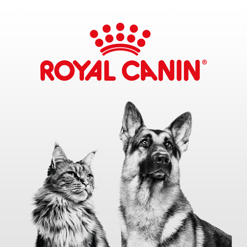 Logo thương hiệu thức ăn cho chó mèo Royal Canin