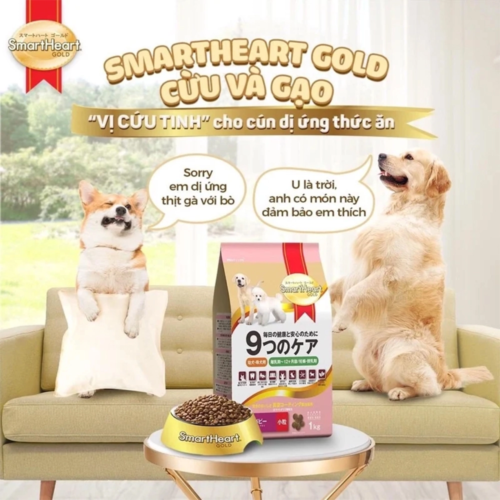 Thức ăn SmartHeart Gold vị cừu và gạo – giải pháp cho chó dị ứng thịt gà và bò