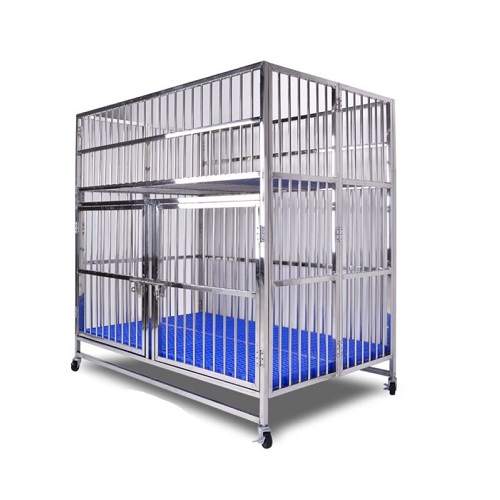 Chuồng chó inox 2 tầng chắc chắn, có bánh xe và sàn nhựa xanh, của Chomeocanh.com