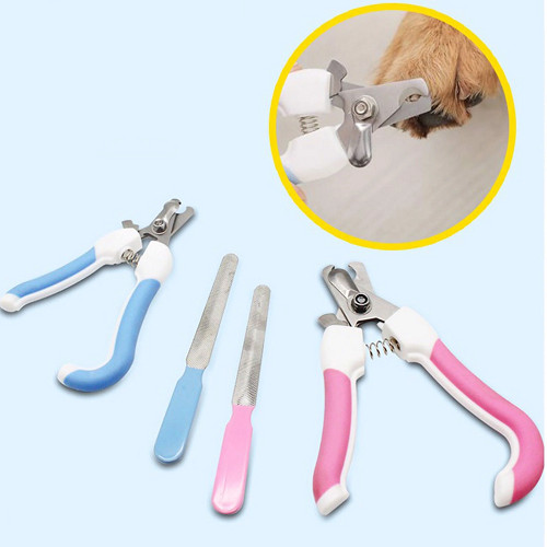 Bộ dụng cụ cắt móng cho mèo gồm kềm cắt và dũa