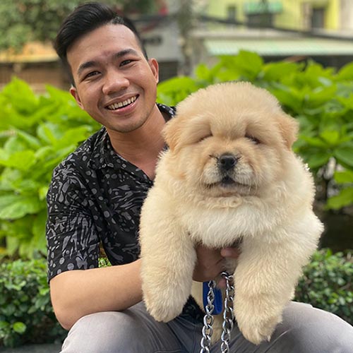 Người đàn ông ôm chú chó Chow Chow lông vàng kem cực đáng yêu.