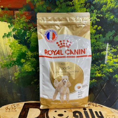 Hạt Royal Canin Poodle Adult 500g