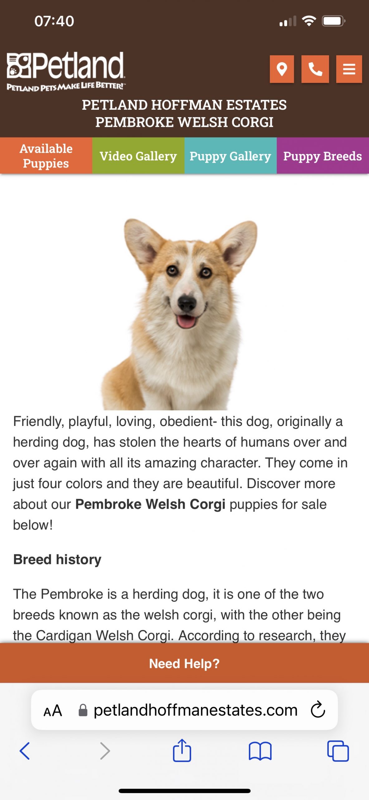 Website của Petland Corgi rất hay cập nhật thông tin về giống chó Corgi