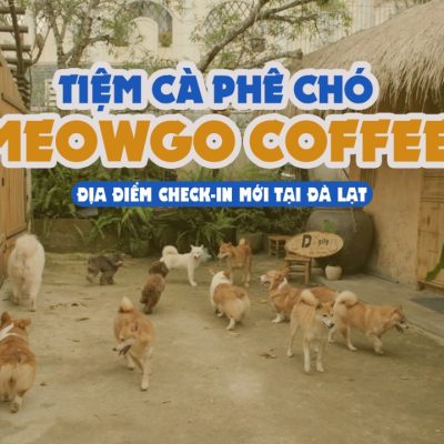 Cafe chó Đà Lạt