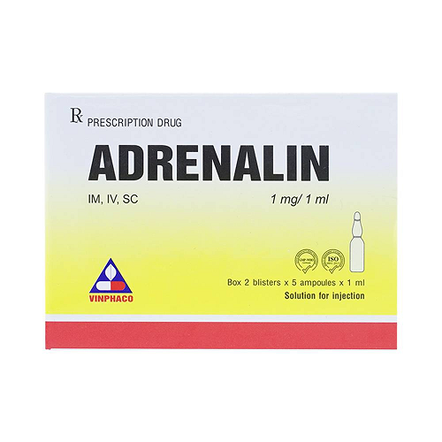 Thuốc Adrenalin 1mg/1ml dạng tiêm, hỗ trợ cầm máu mũi cho chó.