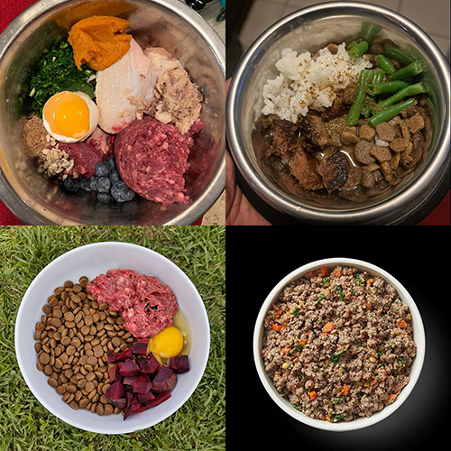 Bốn khẩu phần ăn cho chó Alaska với thịt bò, rau củ và trứng gà