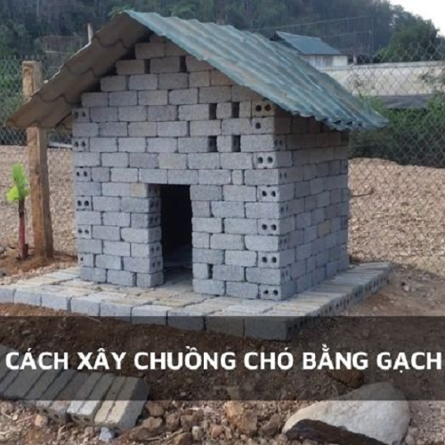 Chuồng chó xây bằng gạch có mái tôn và cửa chính rộng, đặt trên nền xi măng ngoài trời.
