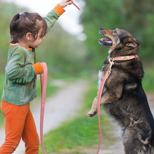 Bé gái huấn luyện chó bằng phần thưởng