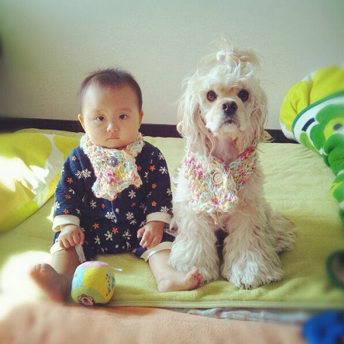 Em bé và chú chó Cocker Spaniel mặc khăn len đôi ngồi cạnh nhau trên giường, tạo dáng đáng yêu.