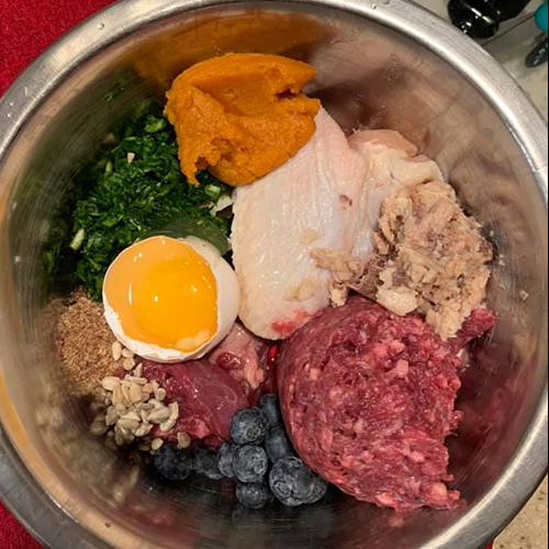 Khẩu phần ăn tươi sống đầy đủ dinh dưỡng cho chó Alaska