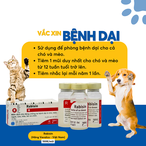 Lọ vắc-xin Rabisin phòng bệnh dại cho chó và mèo