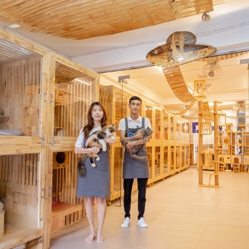 Nhân viên tại Chomeocanh.com đứng trong khu vực khách sạn chó mèo, bế thú cưng trong không gian hiện đại và thoáng mát.
