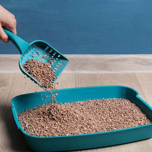 Xẻng nhựa màu xanh đang xúc cát vệ sinh mèo trong khay cùng màu đặt trên sàn gỗ
