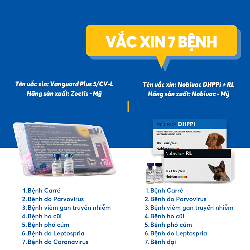 Vắc xin 7 bệnh cho chó Alaska: Vanguard Plus và Nobivac DHPPi + RL.