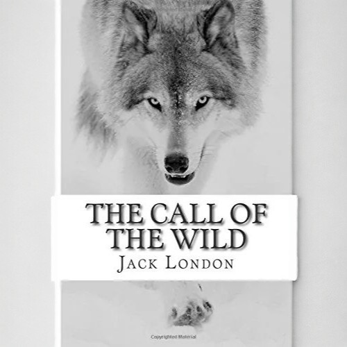 Bìa sách "The Call of the Wild" của Jack London với hình ảnh chó sói mạnh mẽ.
