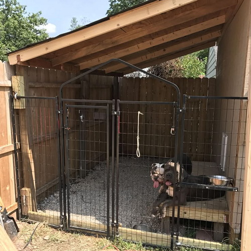 Chuồng chó Pitbull ngoài trời mái nghiêng, khung sắt, lót đá sạch sẽ