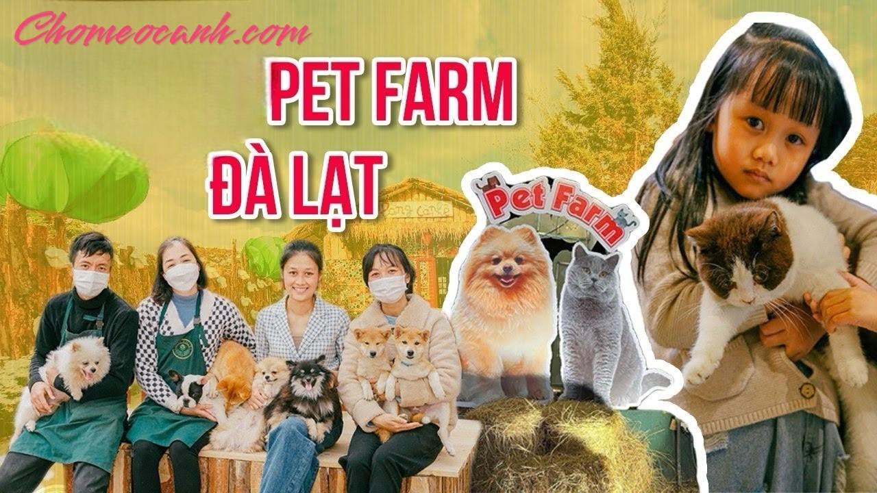 Tham quan Pet Farm Đà Lạt cùng các bé thú cưng đáng yêu