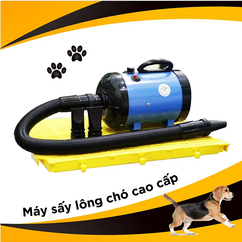 Máy sấy lông chó cao cấp, thiết kế chuyên dụng cho thú cưng.