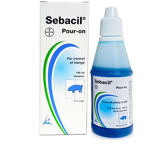 Sebacil Pour-on 100ml, thuốc trị ghẻ cho thú cưng hiệu quả.