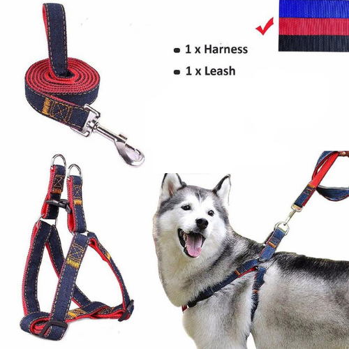 Dây dắt yếm cho chó mèo chất liệu vải jean TaoTao Pet