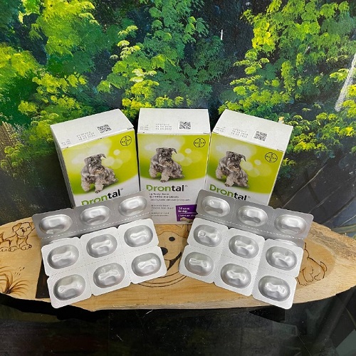 Thuốc tẩy giun Drontal cho chó, giúp phòng ngừa và điều trị giun cho thú cưng.
